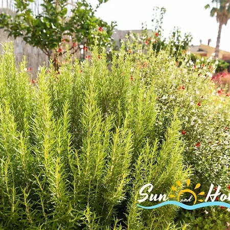 Moderna Elvira 别墅 埃勒凡达尔